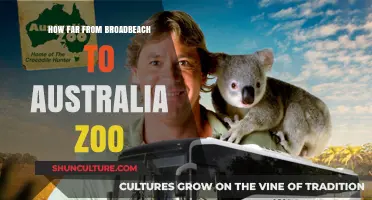 Exploring Broadbeach and Australia Zoo: The Ultimate Distance Guide