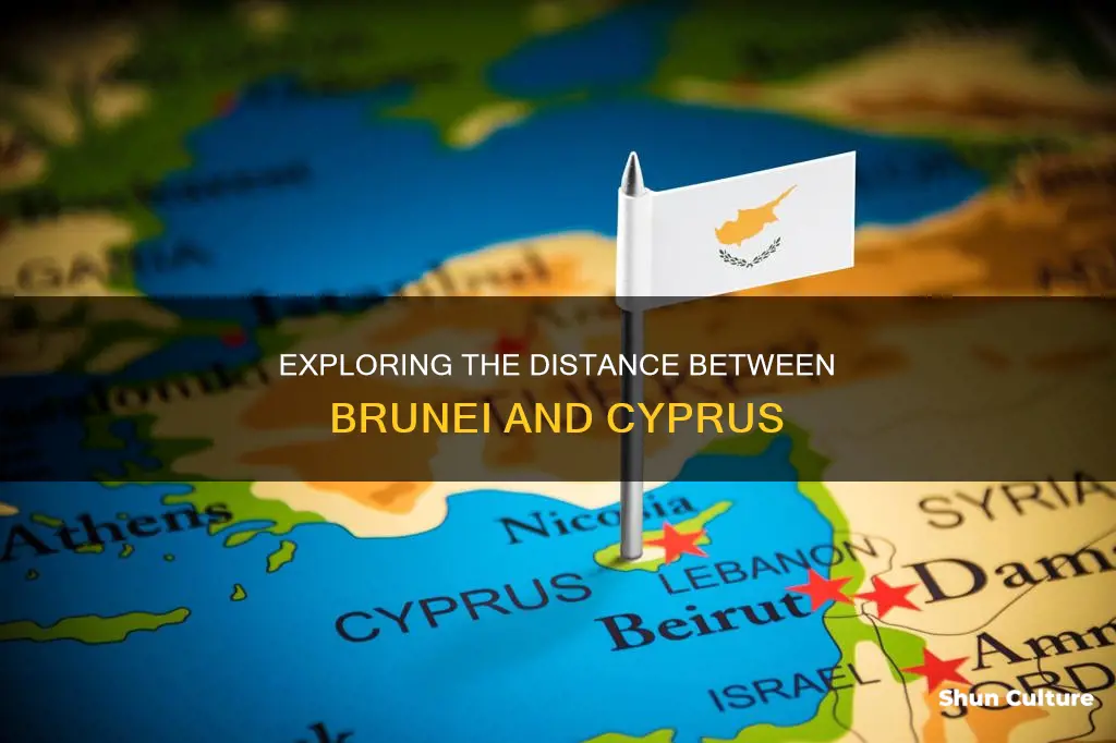 how far from brunei from cyprus