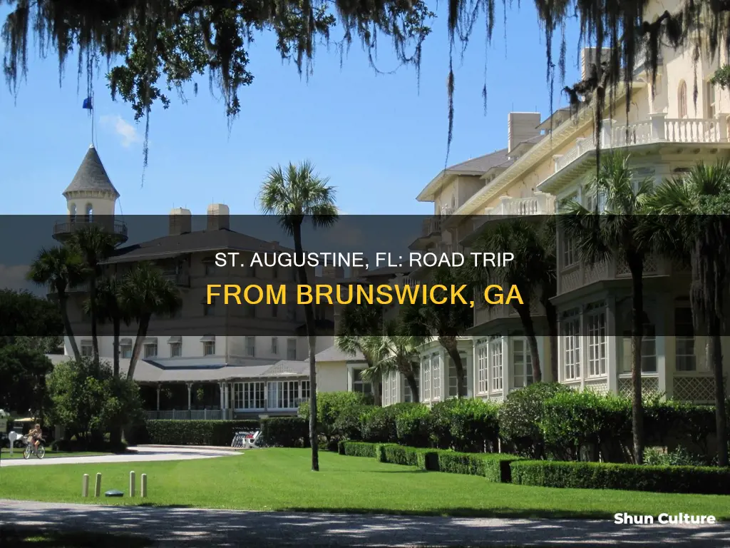 how far from brunswick ga to st augustine fl