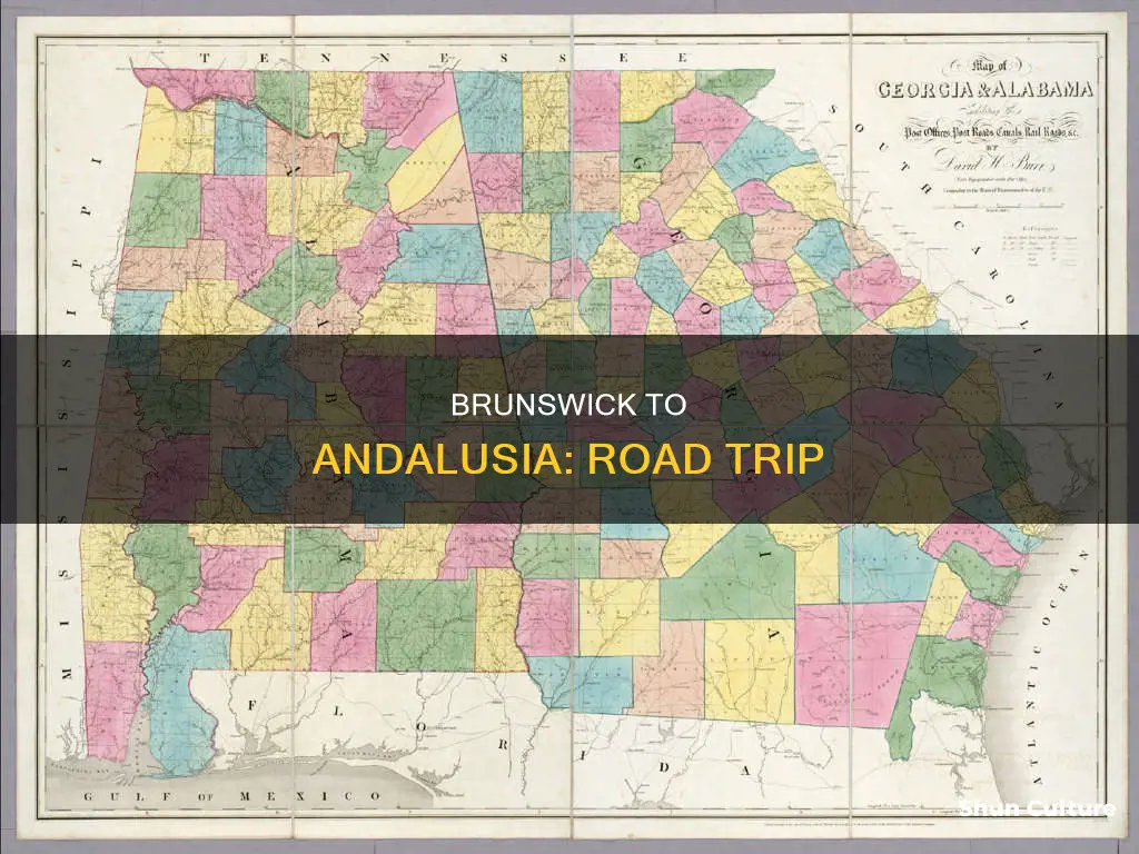 how far from brunswick georgia to andelusa alabama