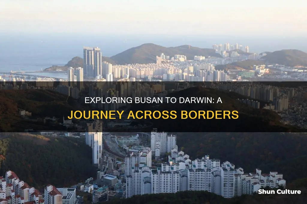 how far from busan soutth korea to darwin australia