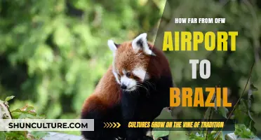 DFW to Brazil: Distance, Travel Time, and Flight Options Explained
