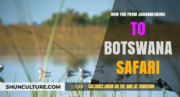 Johannesburg to Botswana Safari: Distance, Travel Tips, and Adventure Guide