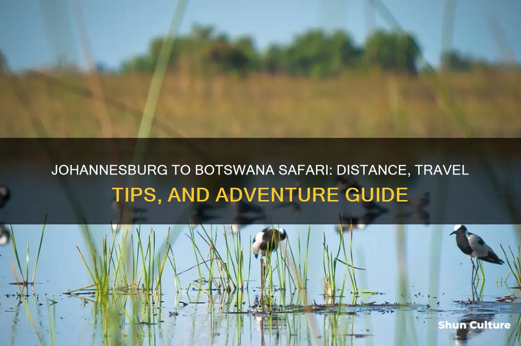 how far from johannesburg to botswana safari