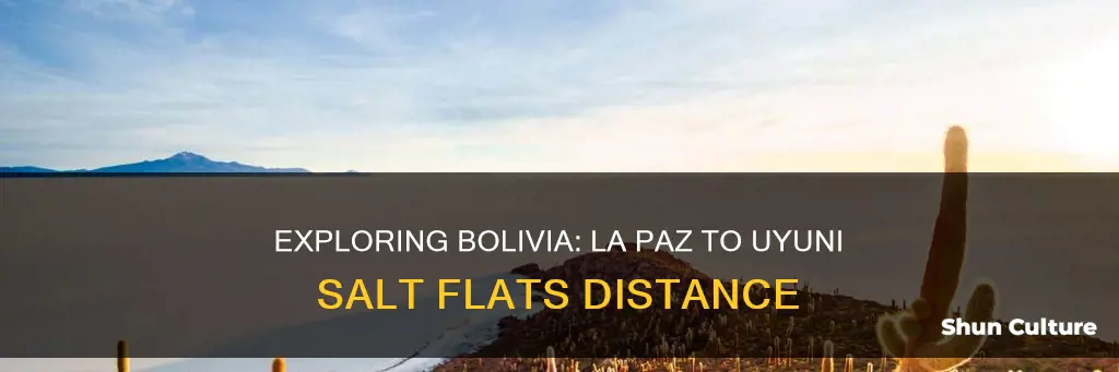 how far from la paz bolivia to uyuni salt flats