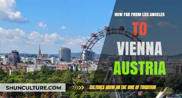 LA to Vienna: A Journey Across Oceans and Continents