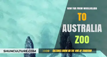 Exploring the Coast: Australia Zoo and Mooloolaba
