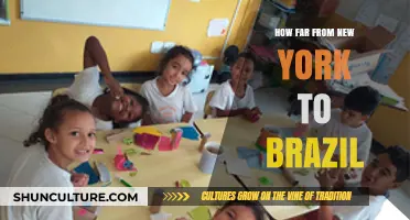 New York to Brazil: Distance, Travel Tips, and Journey Insights