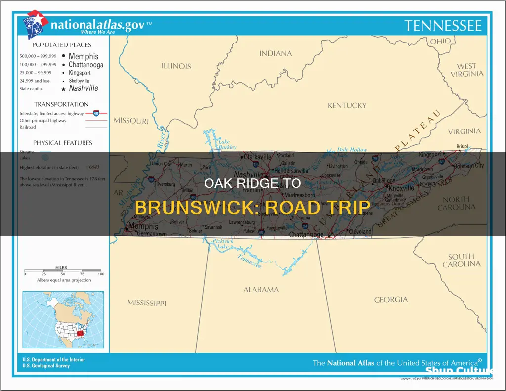 how far from oak ridge tn to brunswick ga