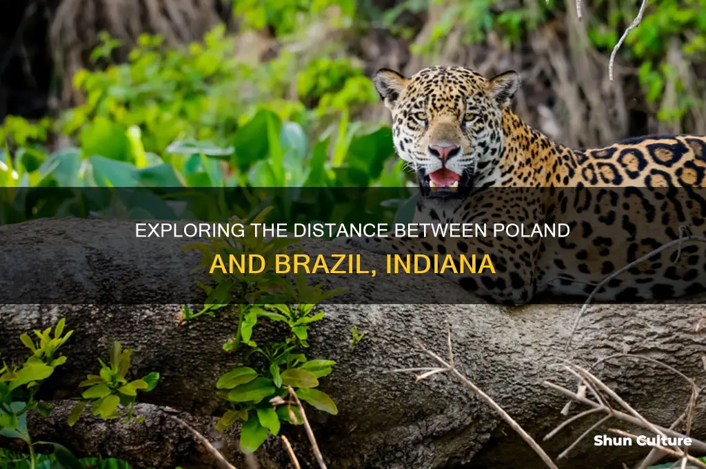 how far from poland indiana to brazil indiana