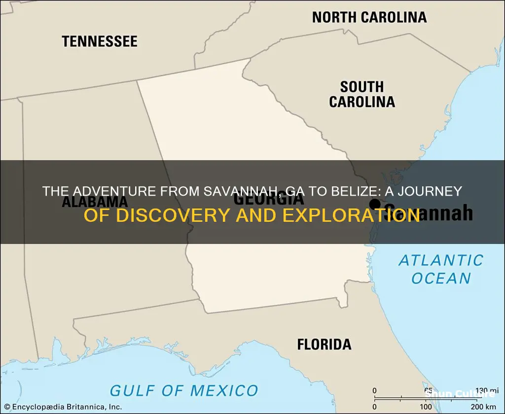 how far from savannah ga to belize