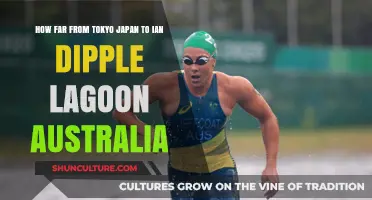 Exploring the Distance: Tokyo to Ian Dipple Lagoon