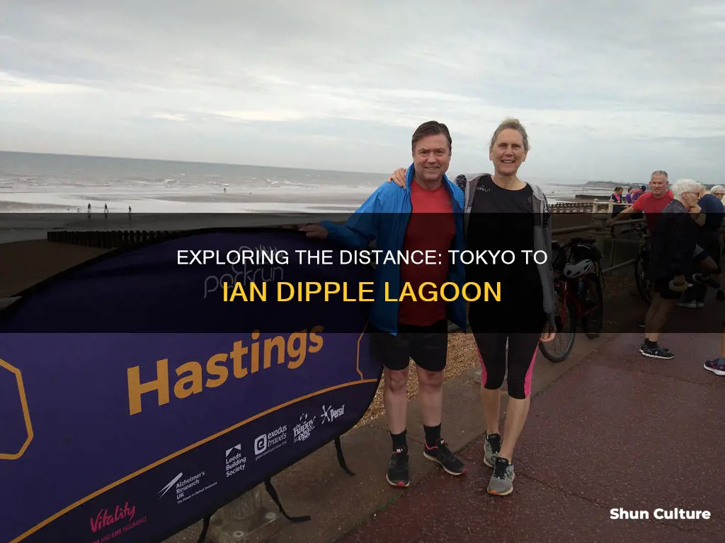 how far from tokyo japan to ian dipple lagoon australia