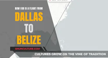 Dallas to Belize: A Quick Flight to Paradise