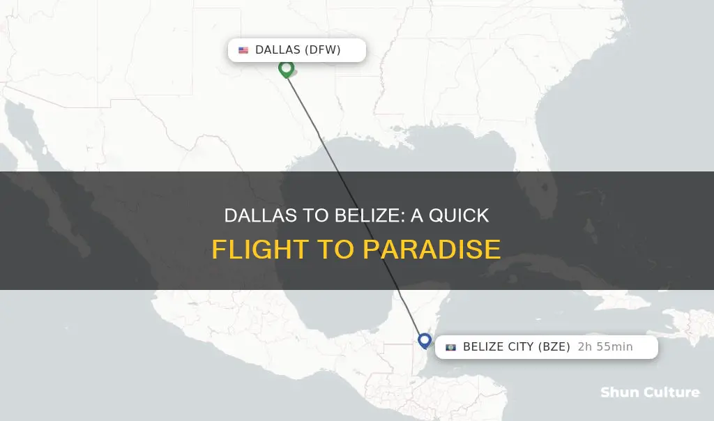 how far is a flight from dallas to belize