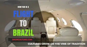 Exploring Flight Distances: How Far is Brazil from You?