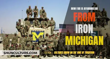 The Distant Neighbors: Iron, Michigan and Afghanistan's Unlikely Proximity