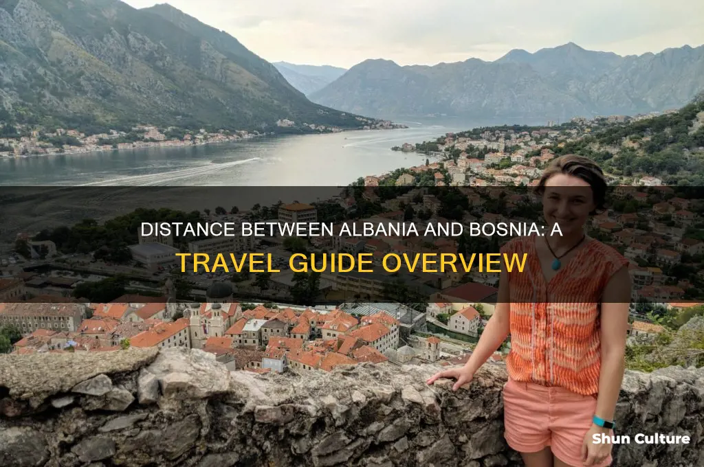 how far is albania from bosnia