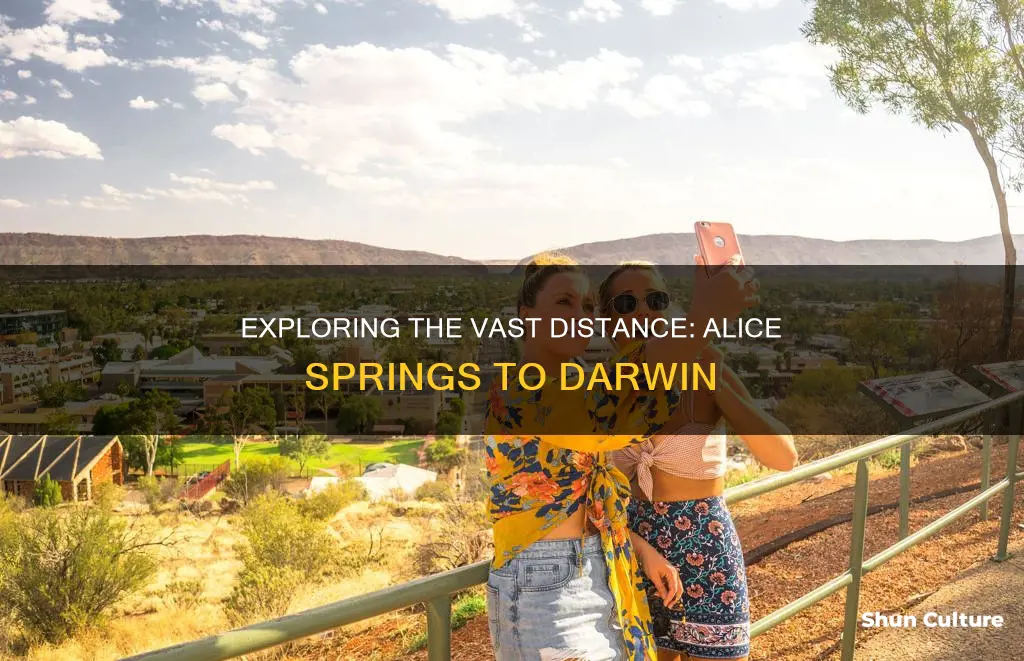 how far is alice springs from darwin australia