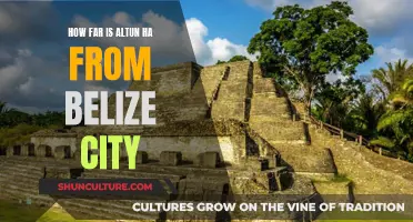 Belize City to Altun Ha: A Short Journey Through History