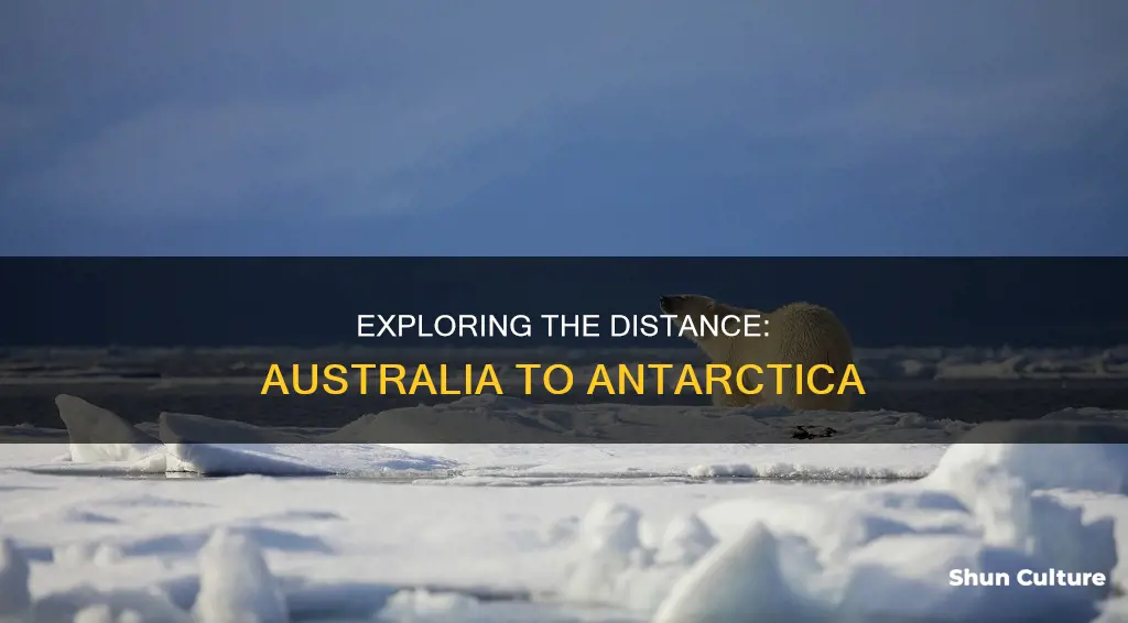 how far is antartica from australia