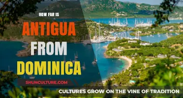 Antigua to Dominica: Distance, Travel Time, and Best Routes Explained
