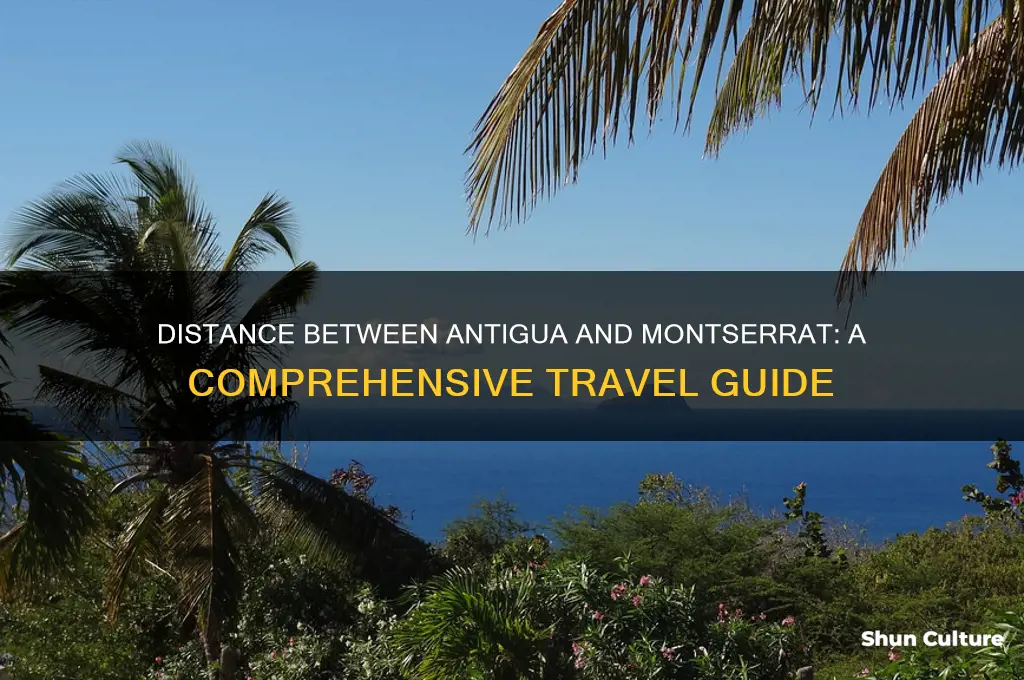 how far is antigua from montserrat