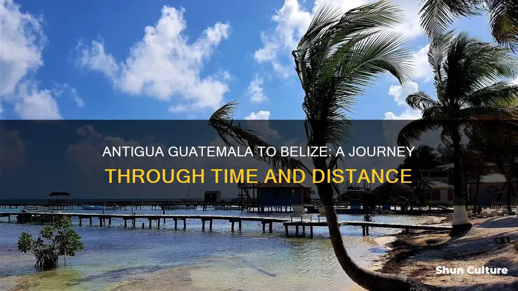 how far is antigua guatemala from belize