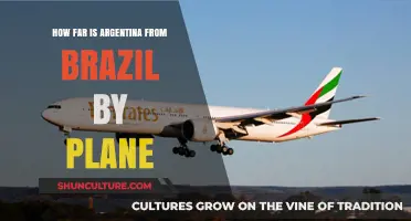 Argentina to Brazil Flight Distance: A Quick Travel Guide