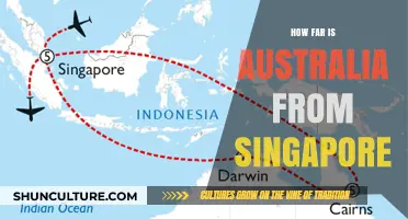 Exploring the Distance: Australia and Singapore