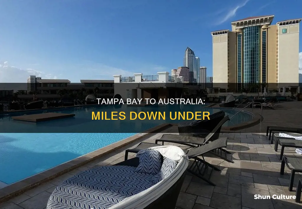 how far is australia from tampa bay