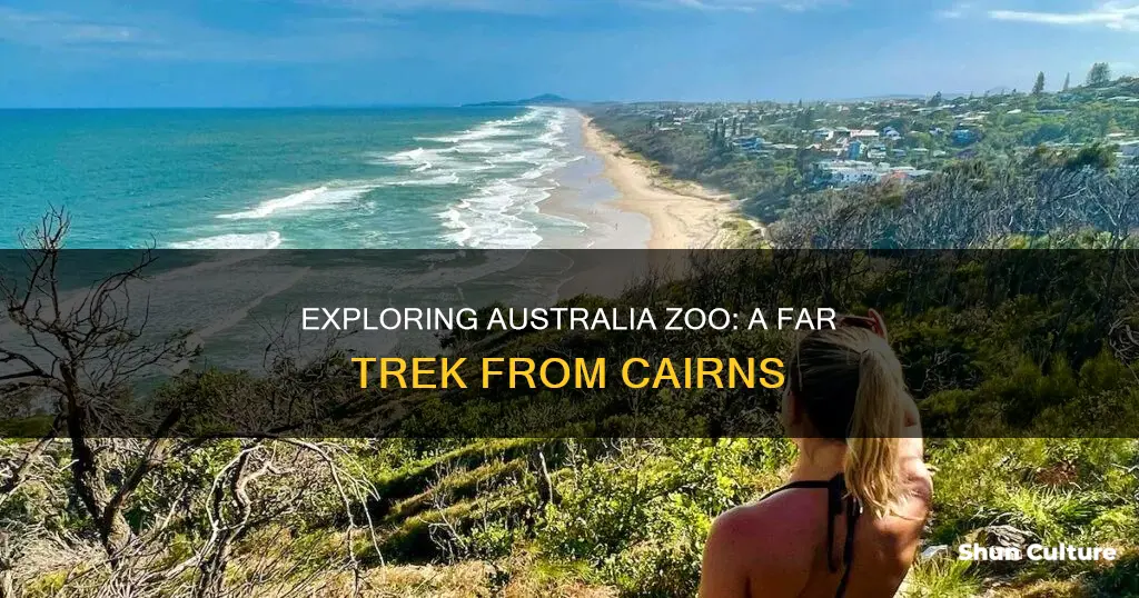 how far is australia zoo from cairns