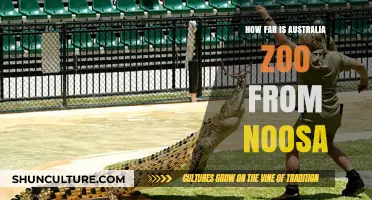 Exploring Noosa and Australia Zoo: How Far Apart?