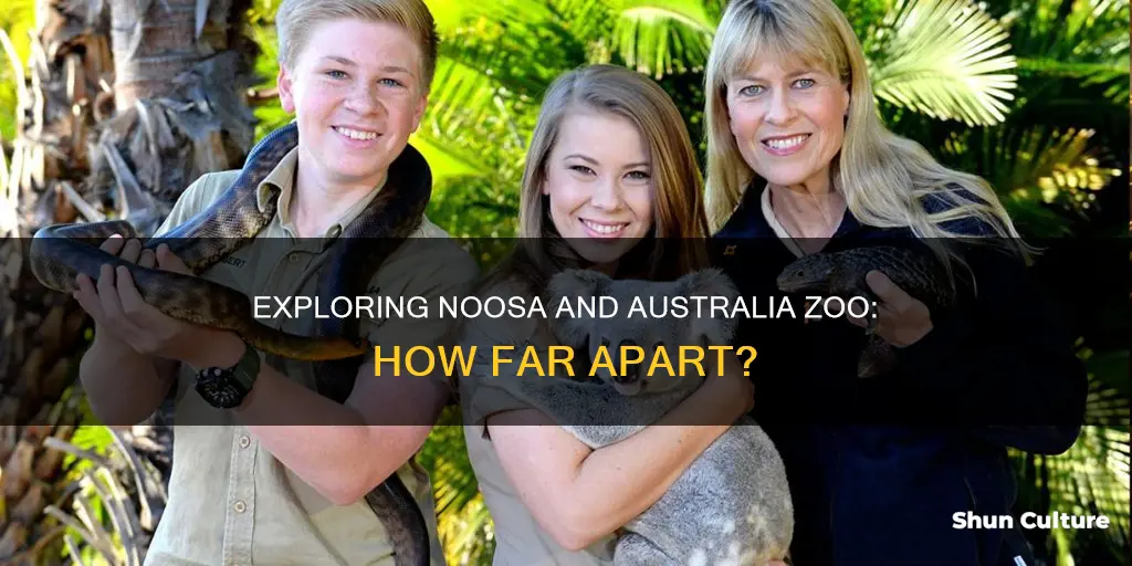 how far is australia zoo from noosa