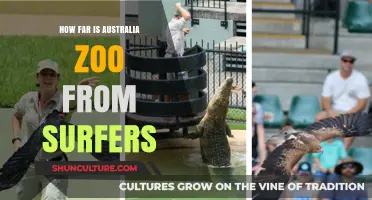 Exploring Australia Zoo: A Surfers' Nearby Adventure