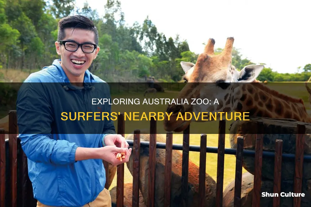 how far is australia zoo from surfers