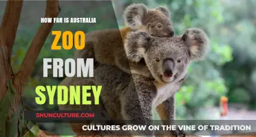Exploring Australia Zoo: Distance and Travel Tips from Sydney