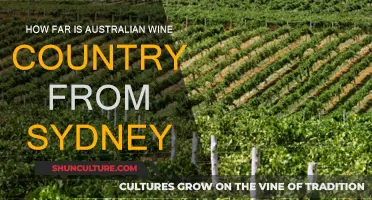 Wine Country Escapes: Sydney's Nearby Vineyard Regions