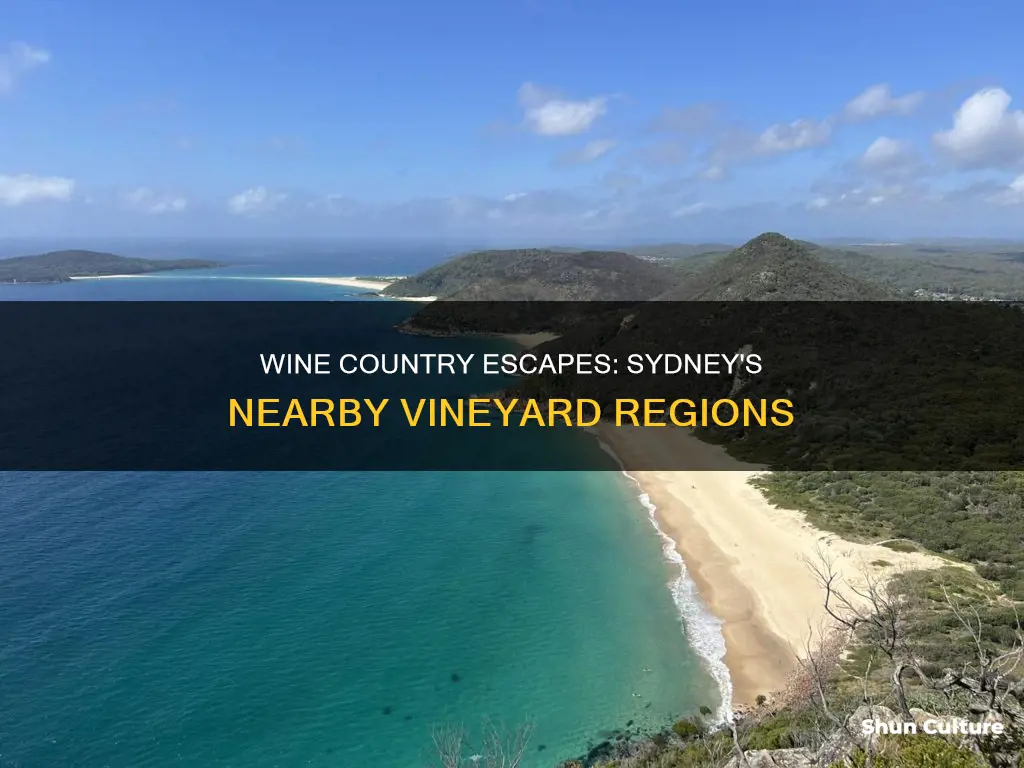 how far is australian wine country from sydney