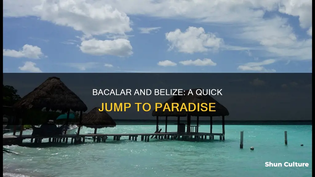 how far is bacalar from belize