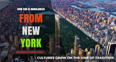 Exploring the Distance: Bangladesh to New York City