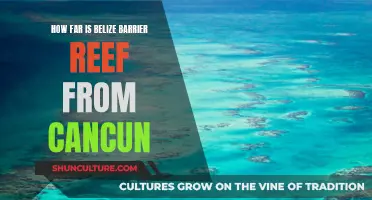 Belize Barrier Reef: A Short Hop from Cancun's Coastline