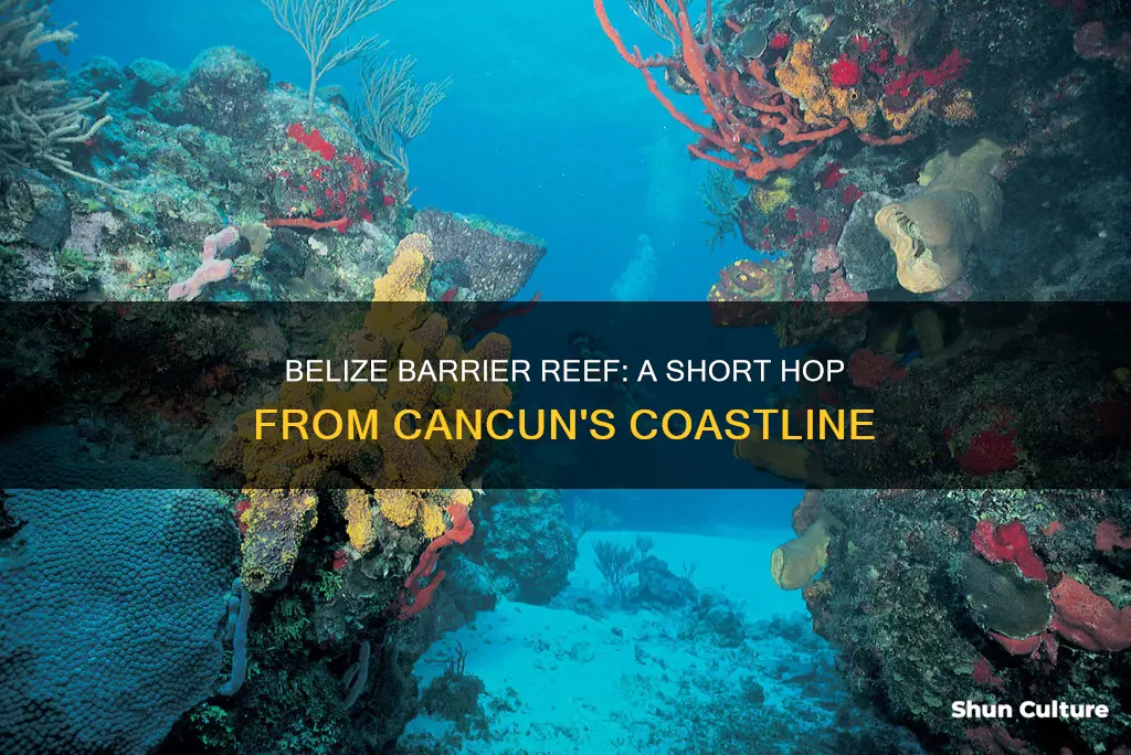 how far is belize barrier reef from cancun