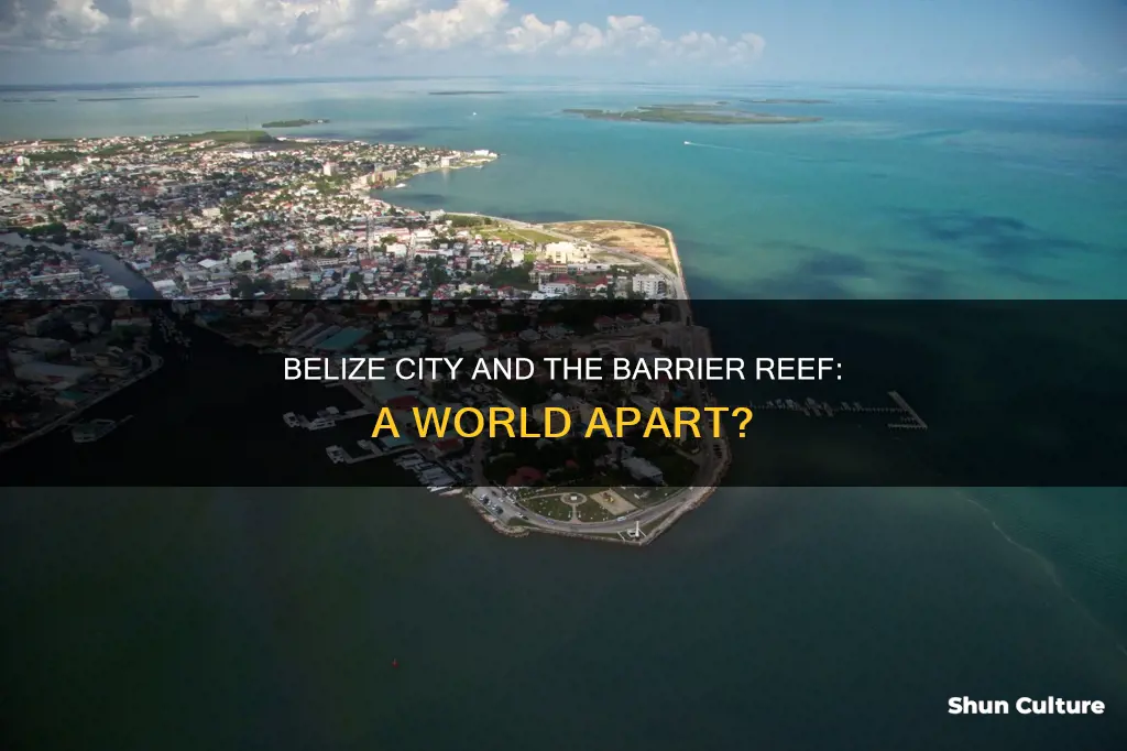 how far is belize city from belize barrier reef