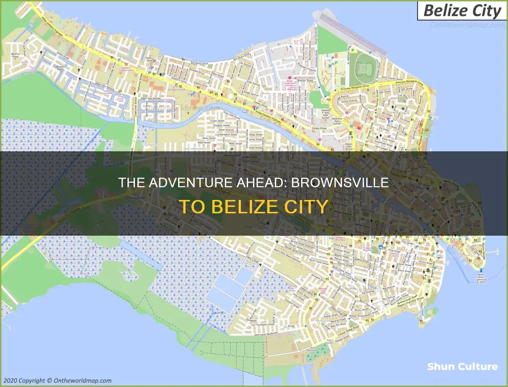 how far is belize city from brownsville texas