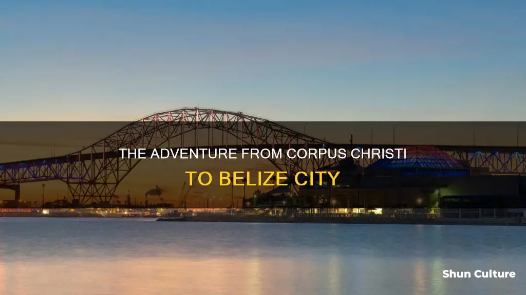 how far is belize city from corpus christi tx