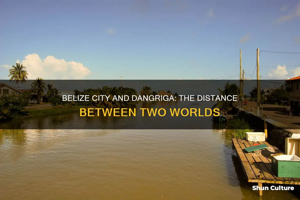 how far is belize city from dangriga