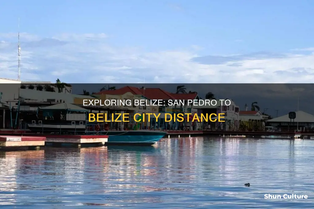 how far is belize city from san pedro