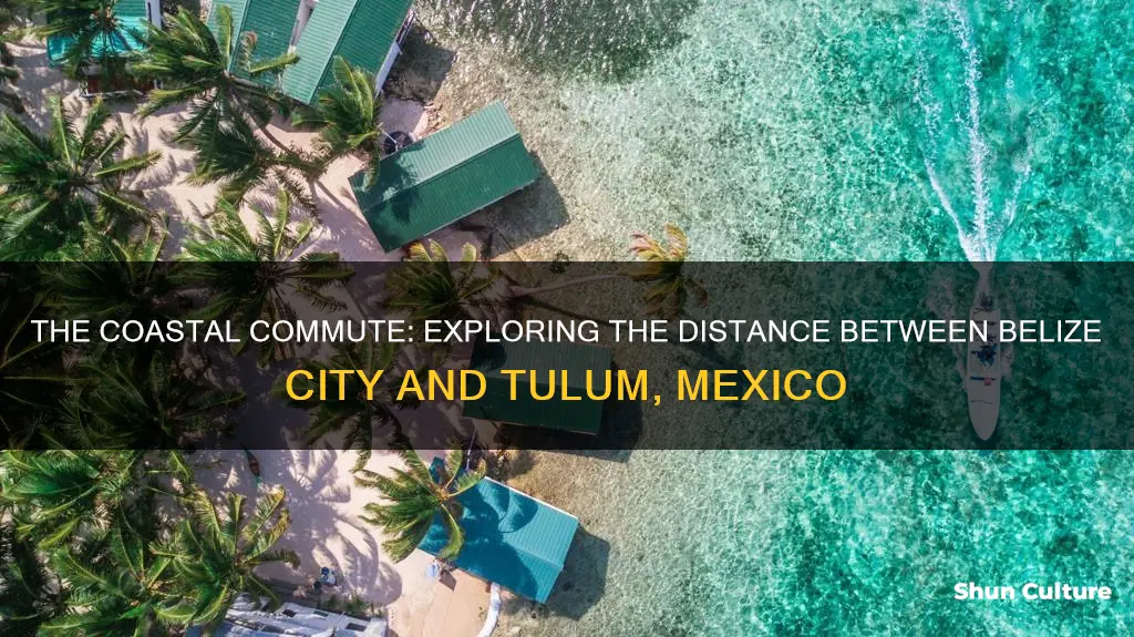 how far is belize city from tulum mexico