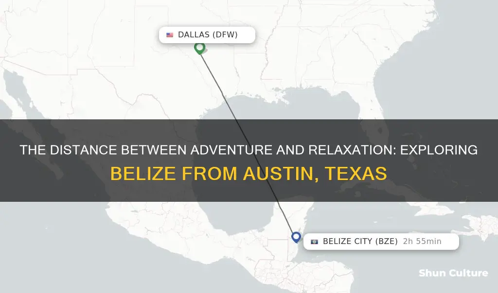 how far is belize from austin Texas